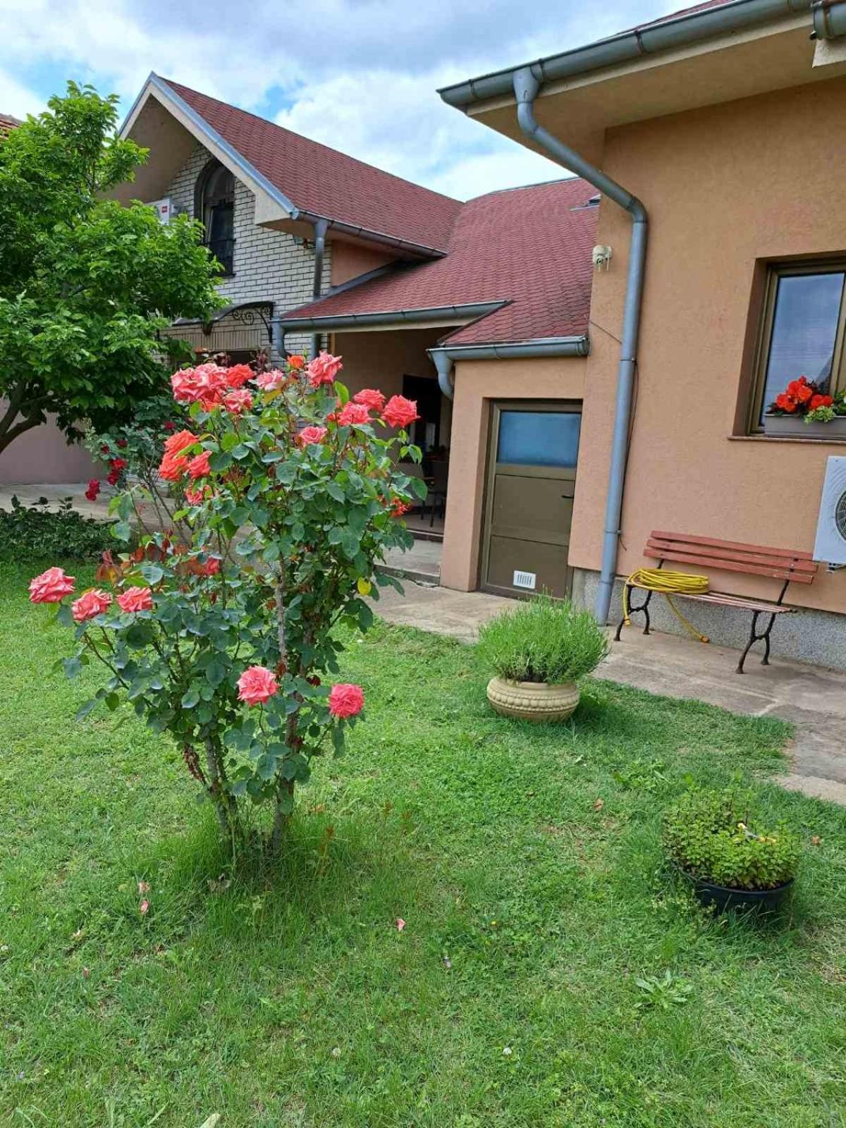 Villa Nena Kladovo Bagian luar foto